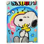 ผ้าห่มกำมะหยี่ เนื้อนุ่ม 5 ฟุต ลาย Snoopy สีฟ้า S001
