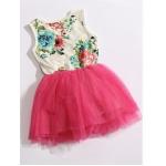 ชุดกระโปรง เดรส เด็กผู้หญิง เป็น เสื้อแขนกุด ด้านล่าง ผ้าชีฟอง ทำทรงฟู มี 3 สี สีเขียว สีชมพู และ สีแดง เดรสเด็ก น่ารัก ๆ no 372953