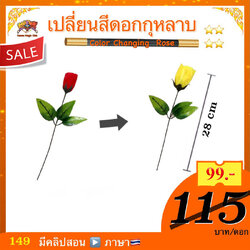 อุปกรณ์มายากล เปลี่ยนสีดอกกุหลาบ (Color Changing Rose)