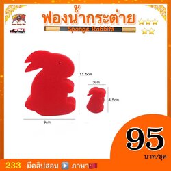 ฟองน้ำกระต่าย ใหญ่ (Jumbo sponge rabbit)