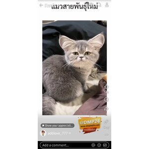 สารคดี (Non-Fiction)