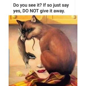 หนังสือภาษาอังกฤษ