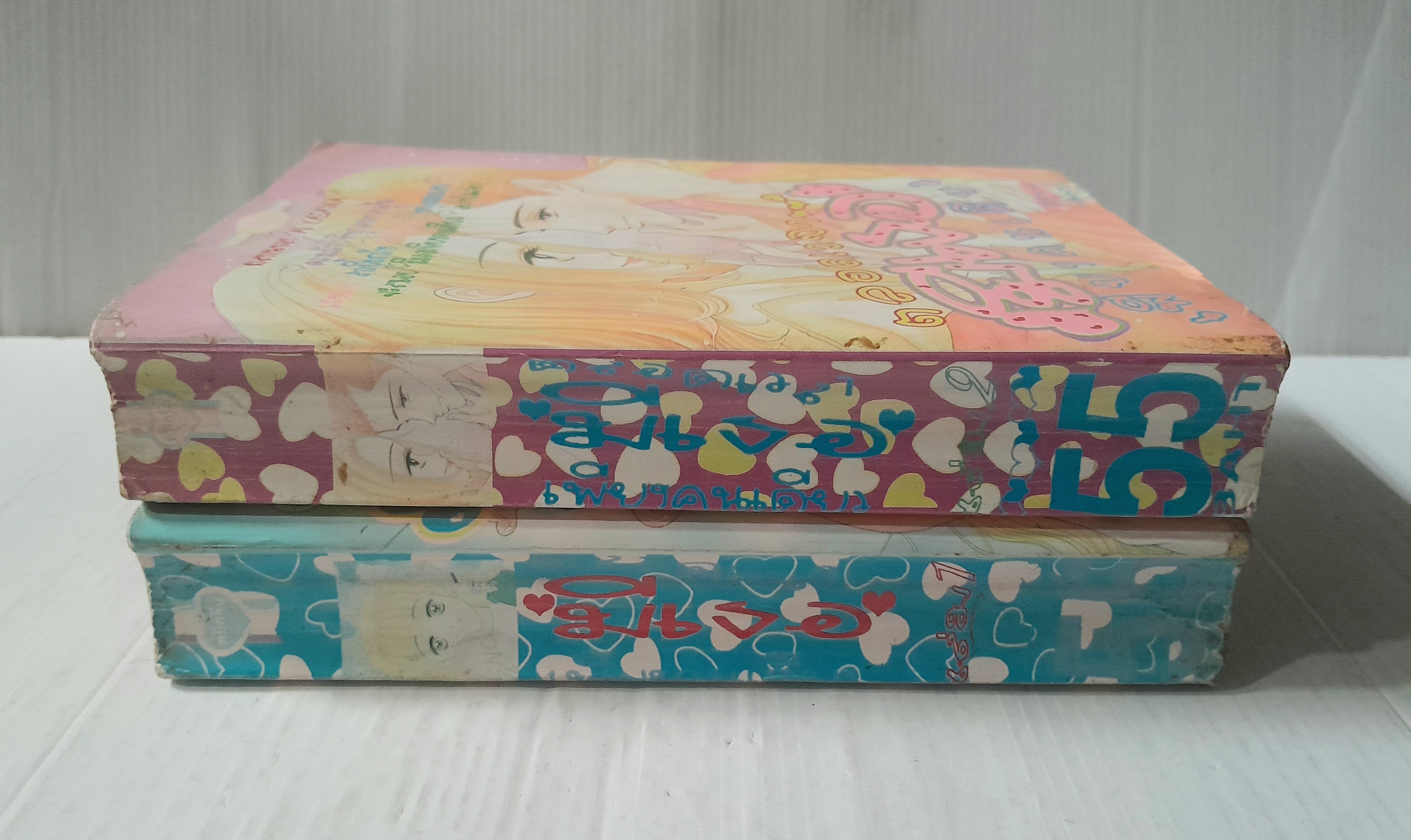 ตลอดเวลามีเธอเพียงคนเดียว 2 เล่มจบ / AI YAZAWA