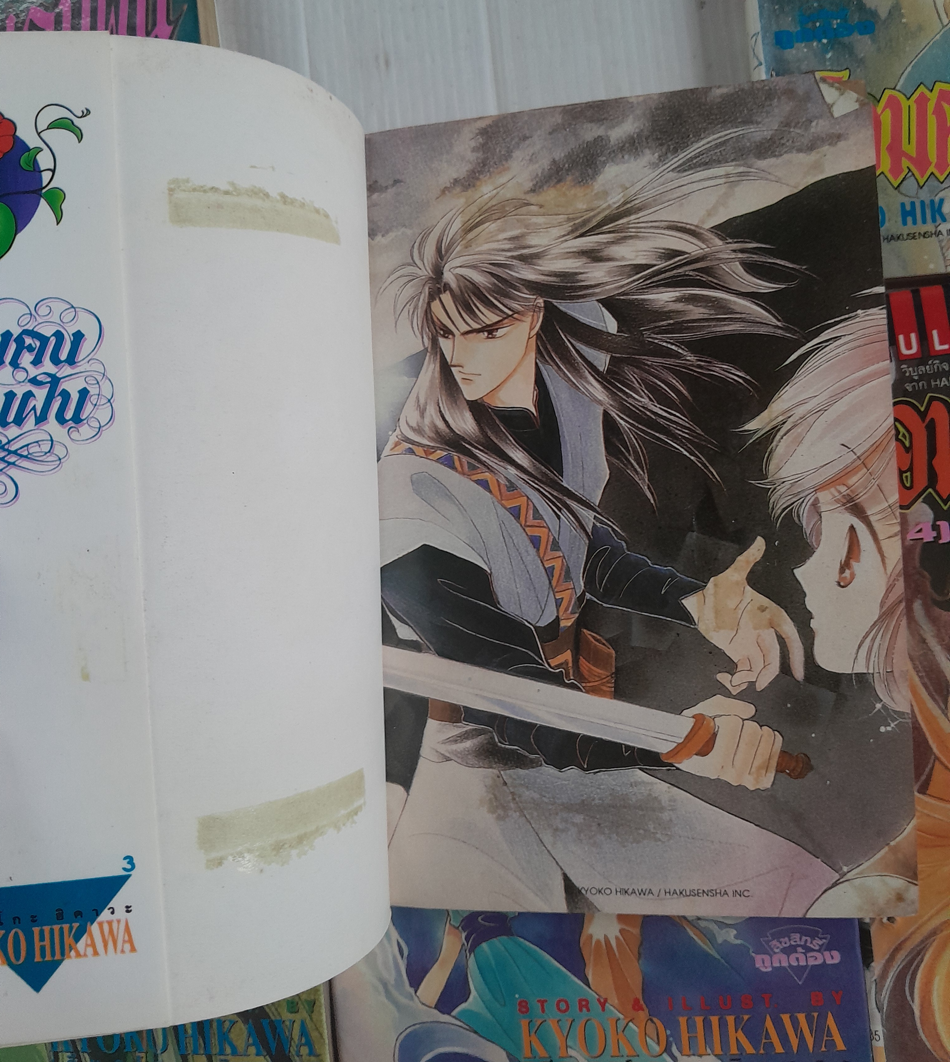 จอมคนแดนฝัน เล่ม 1-11 (14 เล่มจบ) / ฮิคาวะ เคียวโกะ