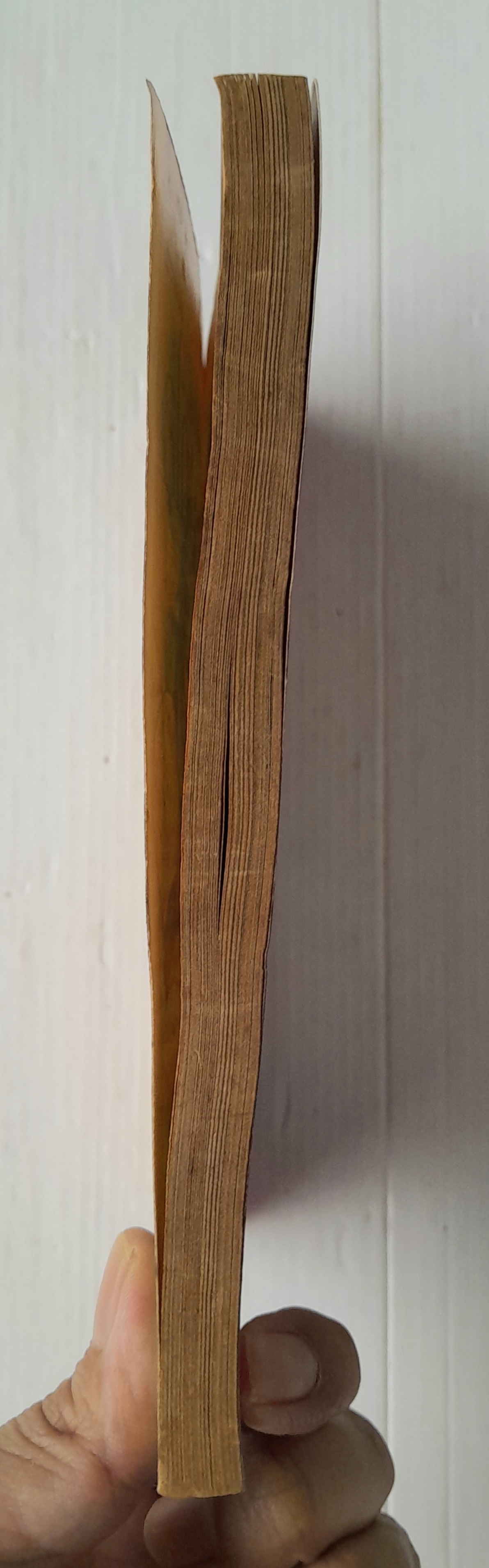 ของขวัญสรรจากใจ (เล่มเดียวจบ) / ไซโต้ จิโฮ