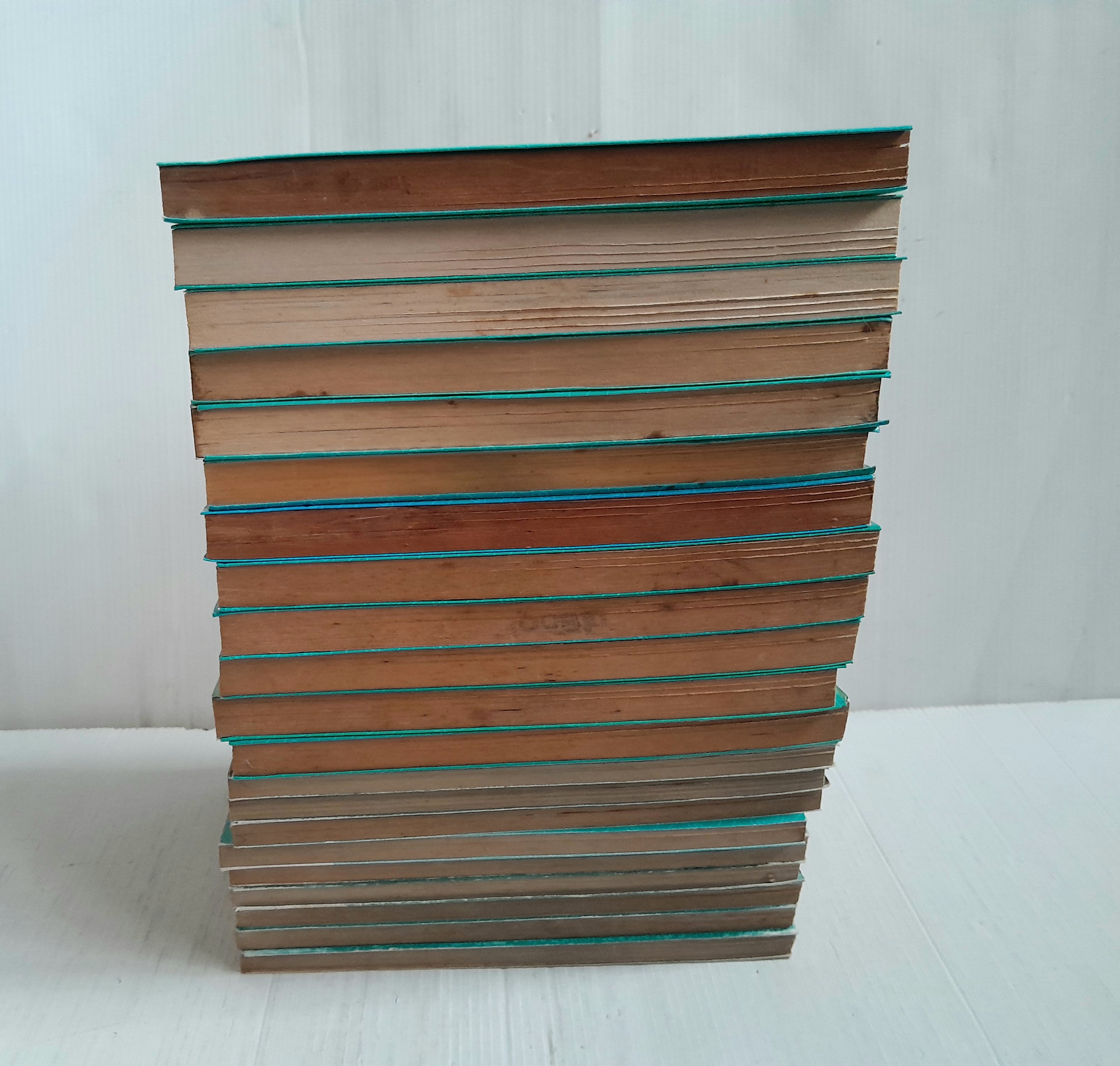 เสน่ห์สาวข้าวปั้น Fruits Basket 23 เล่มจบ (ไม่ครบขาดเล่ม 17 กับ 22) / Takaya Natsuki