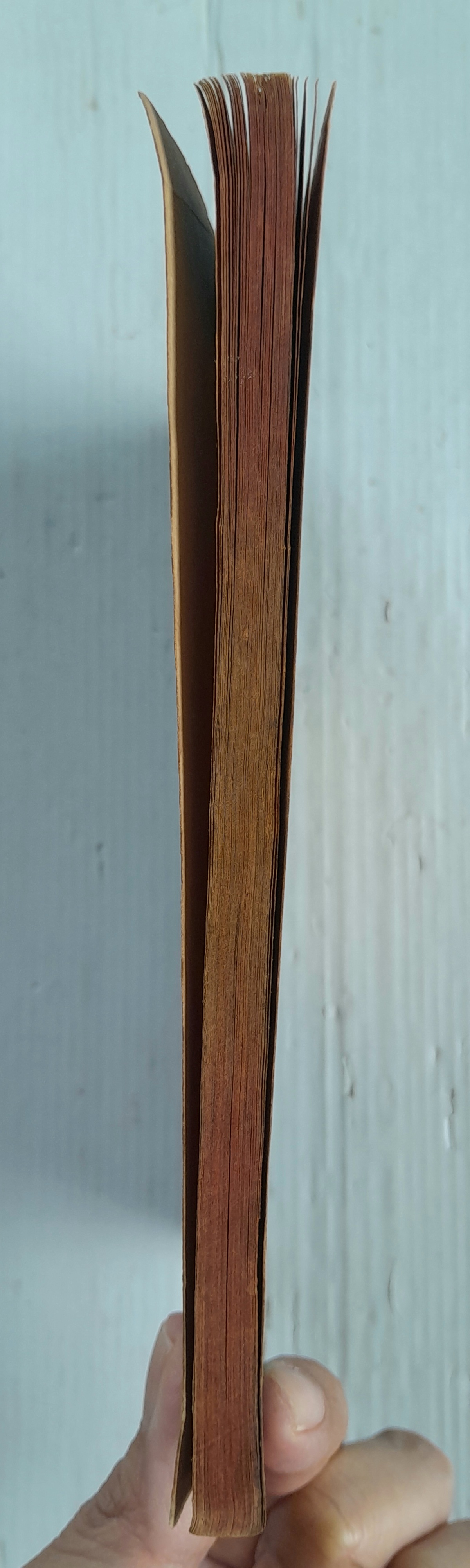 ดินแดนอาถรรพณ์ (เล่มเดียวจบ) / ทากาชินะ เรียวโกะ