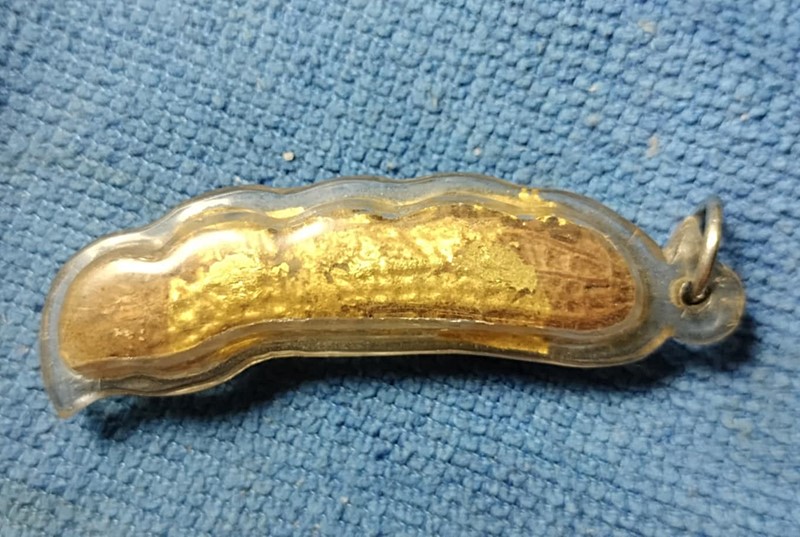 ถั่วห้าเม็ด