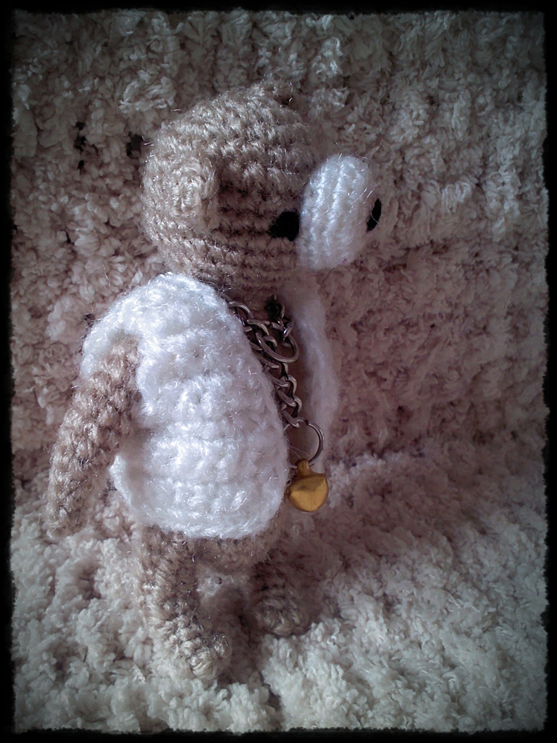 หมีน้ำตาลหน้าสงสัย