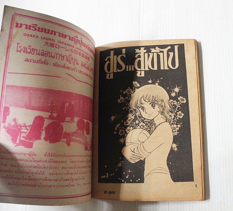 ฮูเร่..สู้เข้าไป (เล่มเดียวจบ)