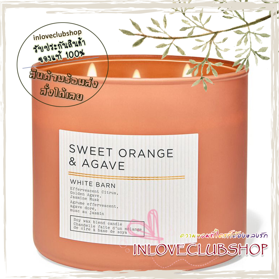 Bath & Body Works Slatkin & Co / Candle 14.5 oz. (Sweet Orange & Agave) *effervescent citrus, golden agave and jasmine musk.