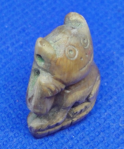 เสือ เขี้ยวเสือแกะ