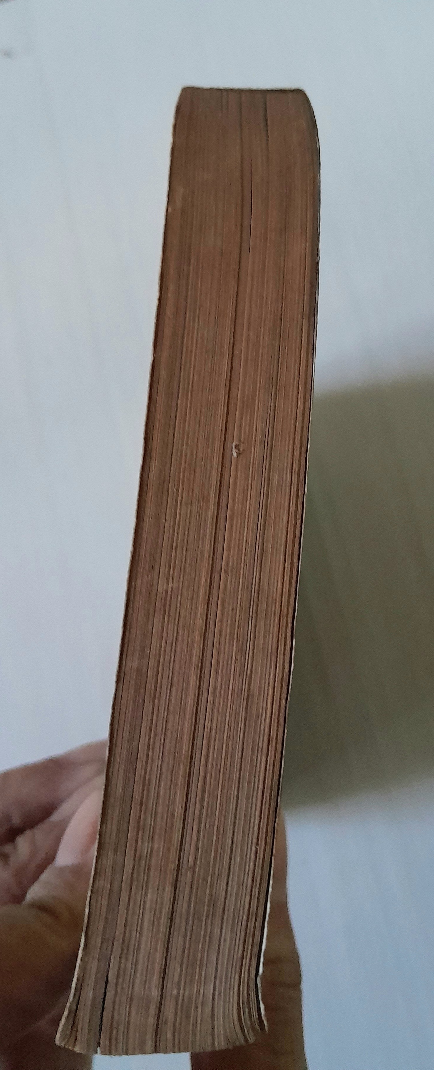 ยูได ไอ้ตัวกวน เล่ม 1 (2 เล่มจบ)