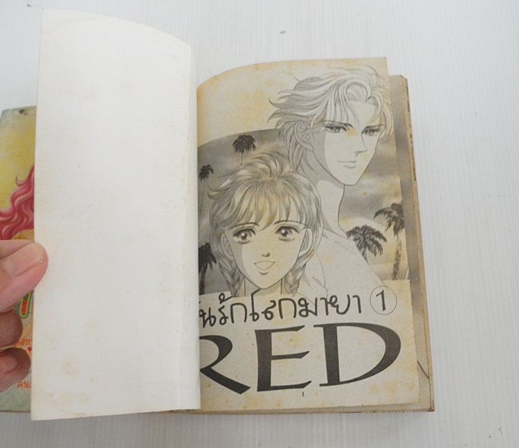 ฝันรักโลกมายา 2 เล่มจบ