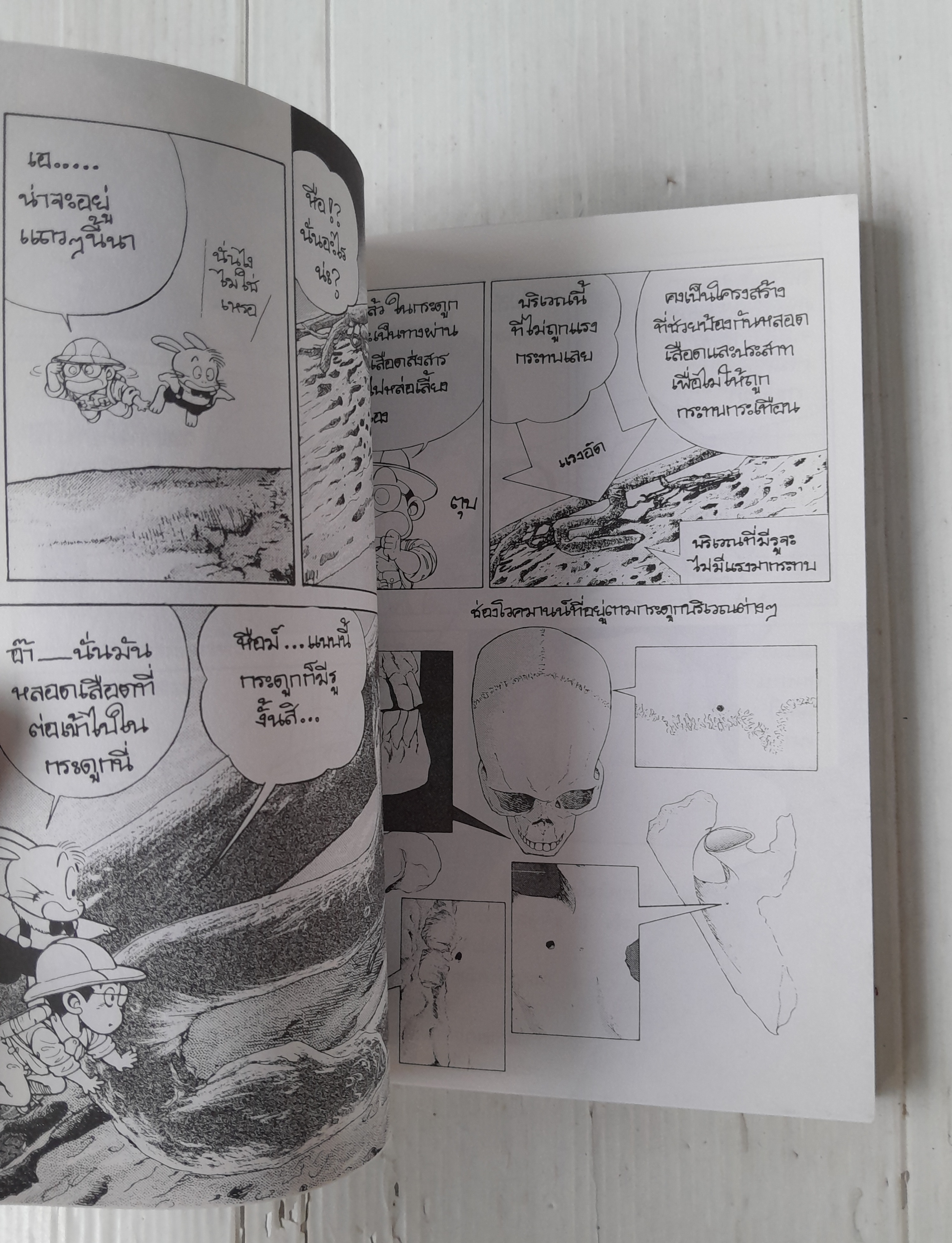 การ์ตูนวิทยาการแสนสนุก เจาะจักรวาลชีวิต เล่ม 3