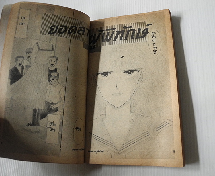ยอดสาวผู้พิทักษ์ (เล่มเดียวจบ)