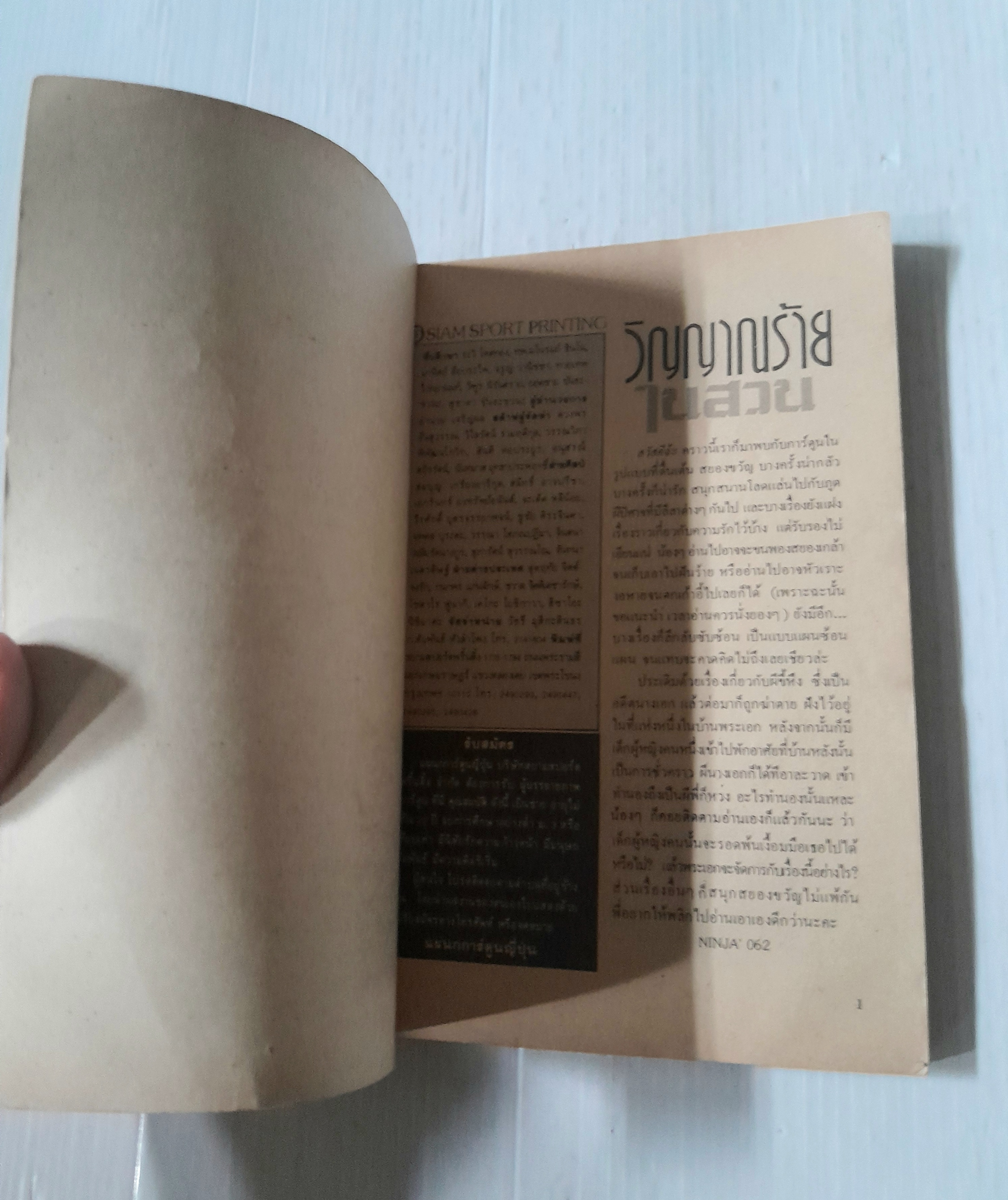 วิญญาณร้ายในสวน (เล่มเดียวจบ) / Kazama Hiroko