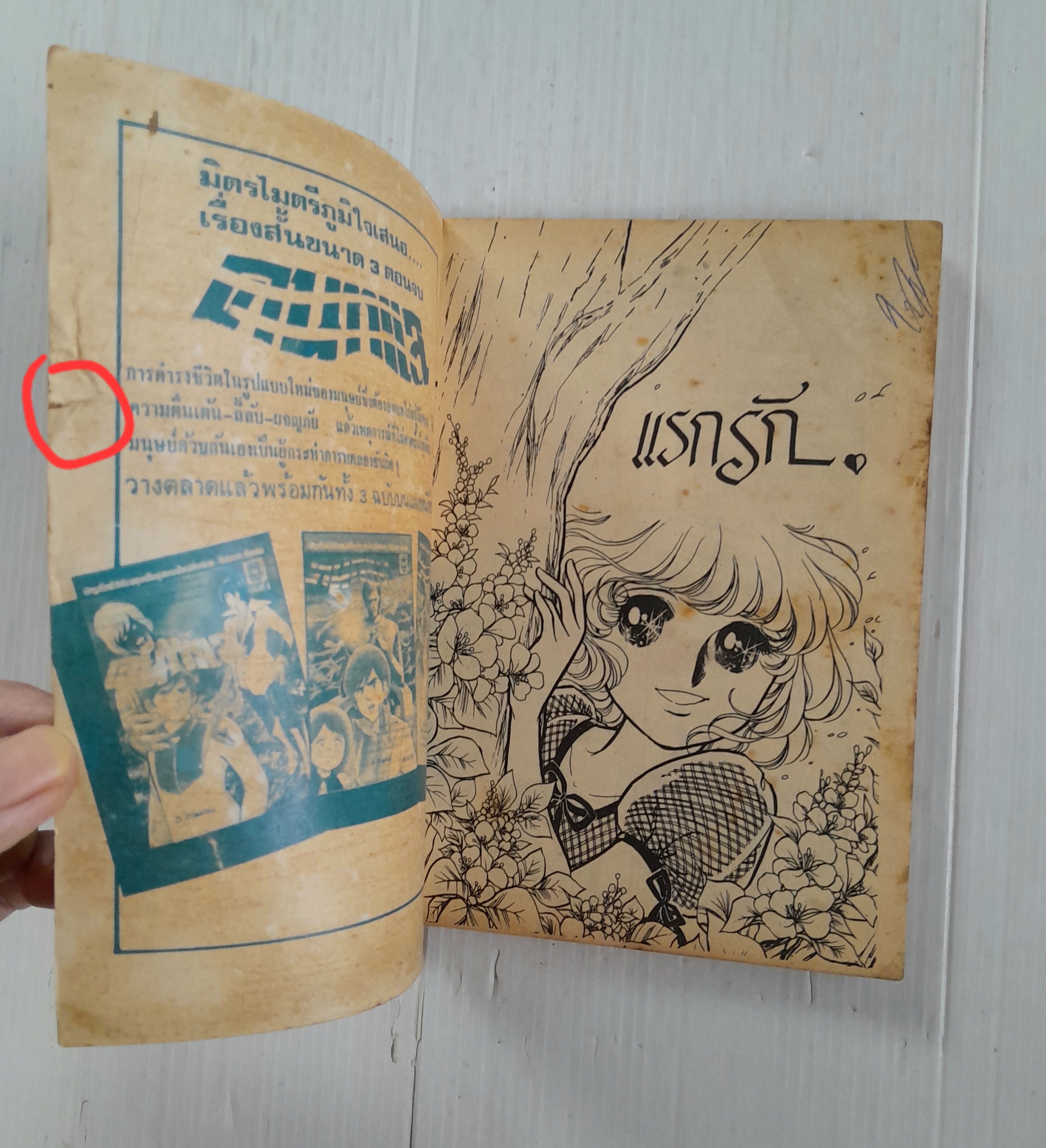 แรกรัก (เล่มเดียวจบ) / ฮาระ จิเอโกะ