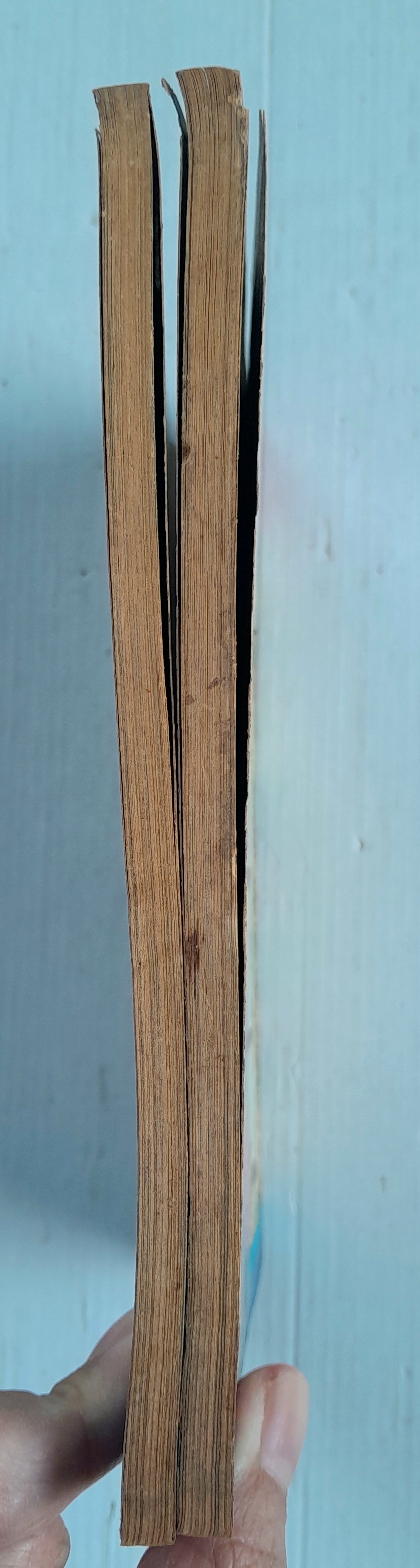 ที-ไทม์ 2 เล่มจบ / อิจิโจ ยูคาริ