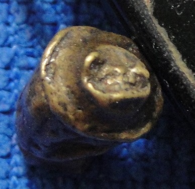 หลวงพ่อวัฒน์ วัดชุมพูพนัส สุราษฏร์