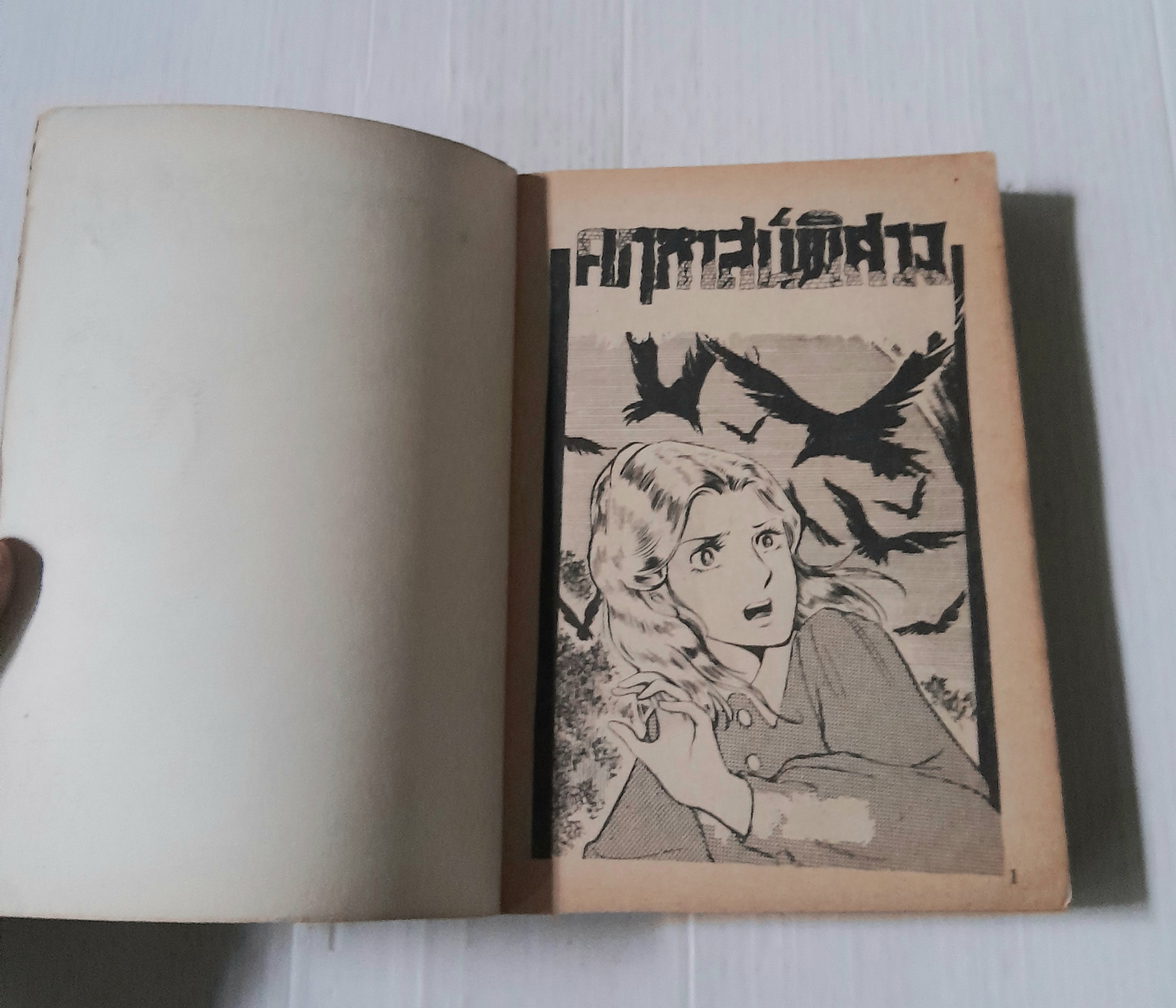 คฤหาสน์พิศวง (เล่มเดียวจบ)