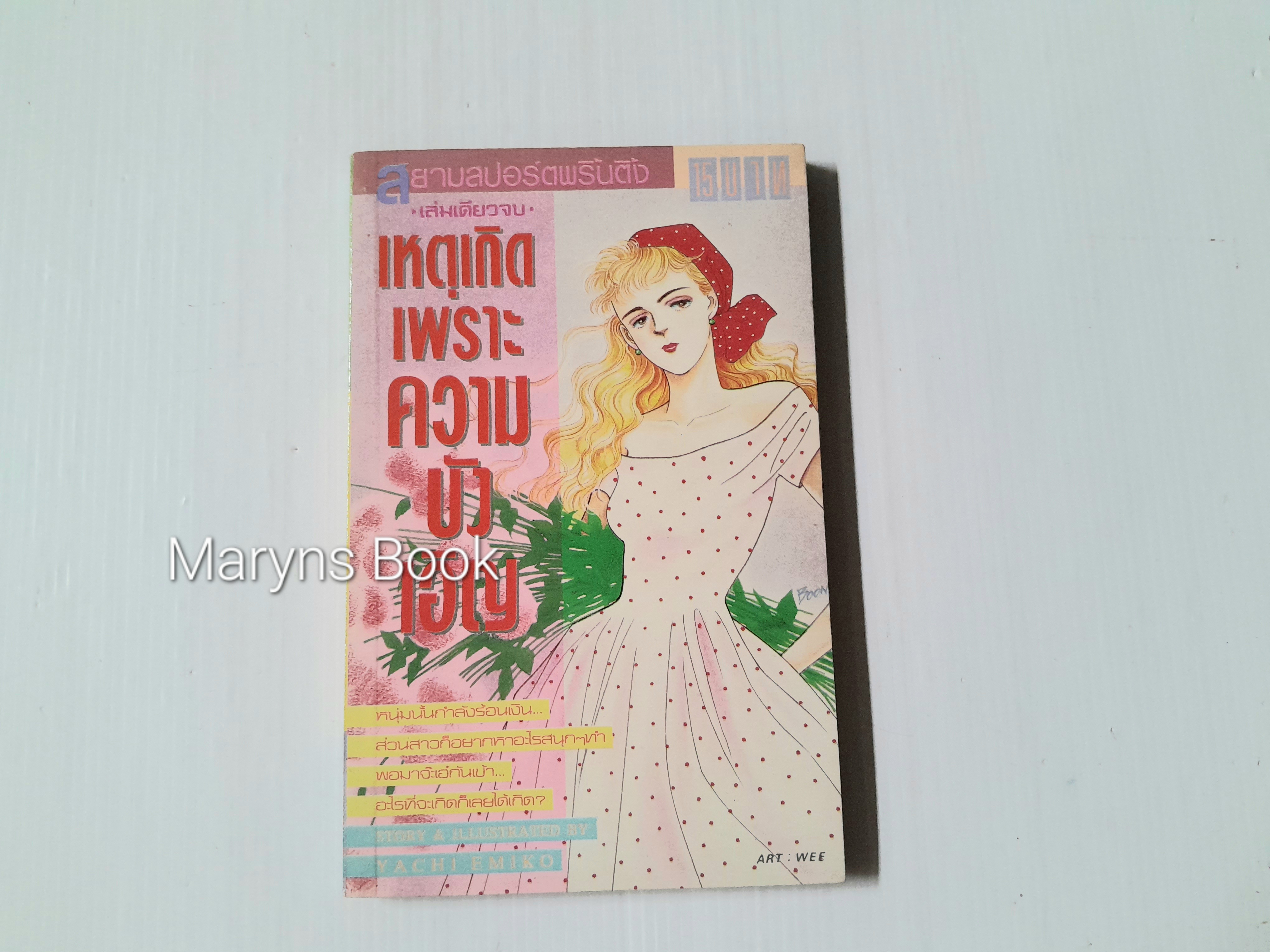 เหตุเกิดเพราะความบังเอิญ (เล่มเดียวจบ) / Yachi Emiko