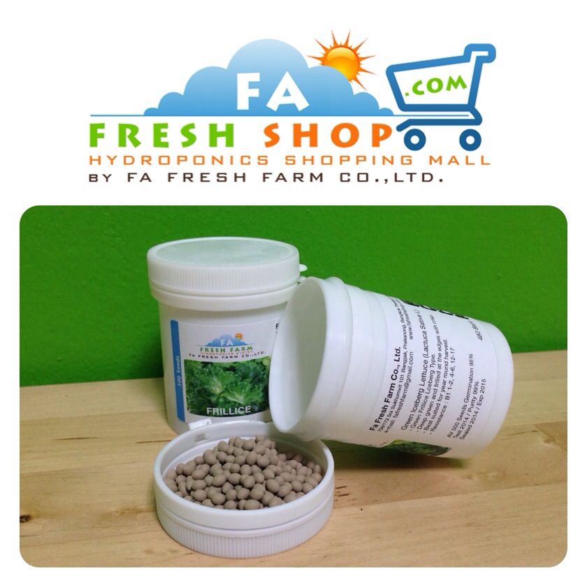 ฟิลเลย์ ไอซ์เบิร์ก Frillice Iceberg (แบบเคลือบ กระปุกละ 500 เมล็ด)