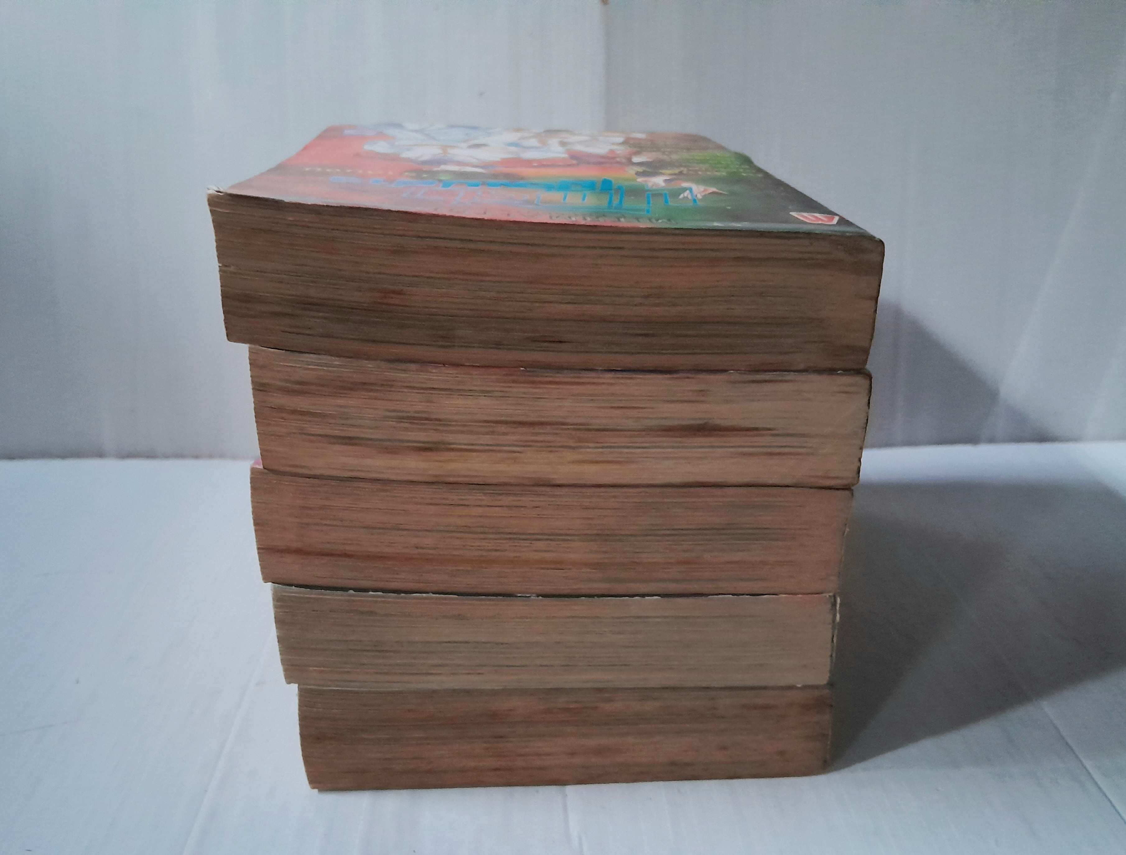 นักล่าเมืองปีศาจ 5 เล่มจบ / Hosoma Shinichi