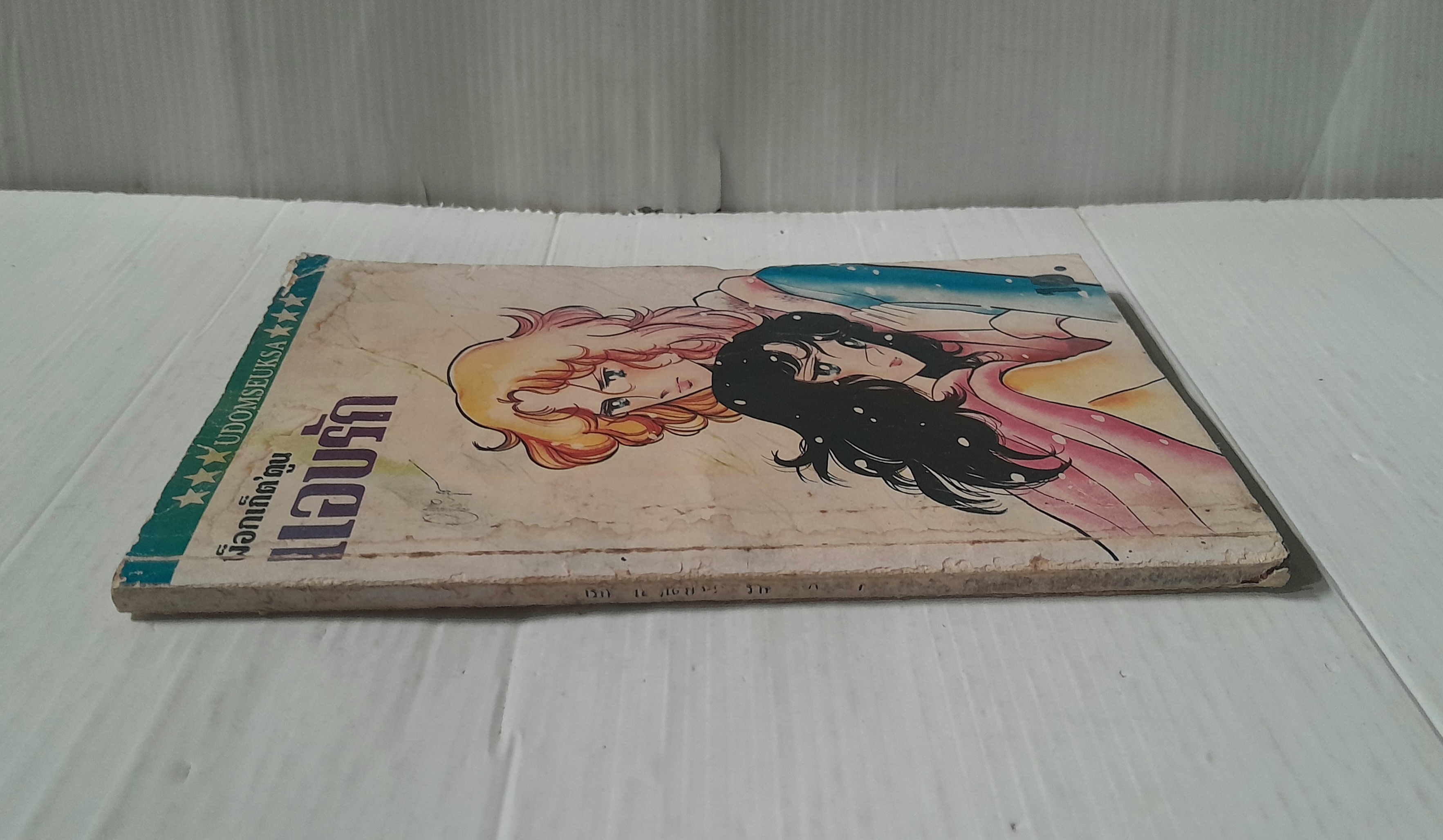 แอบรัก (เล่มเดียวจบ)