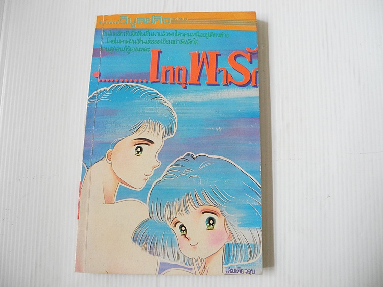 ...เหตุพารัก (เล่มเดียวจบ)
