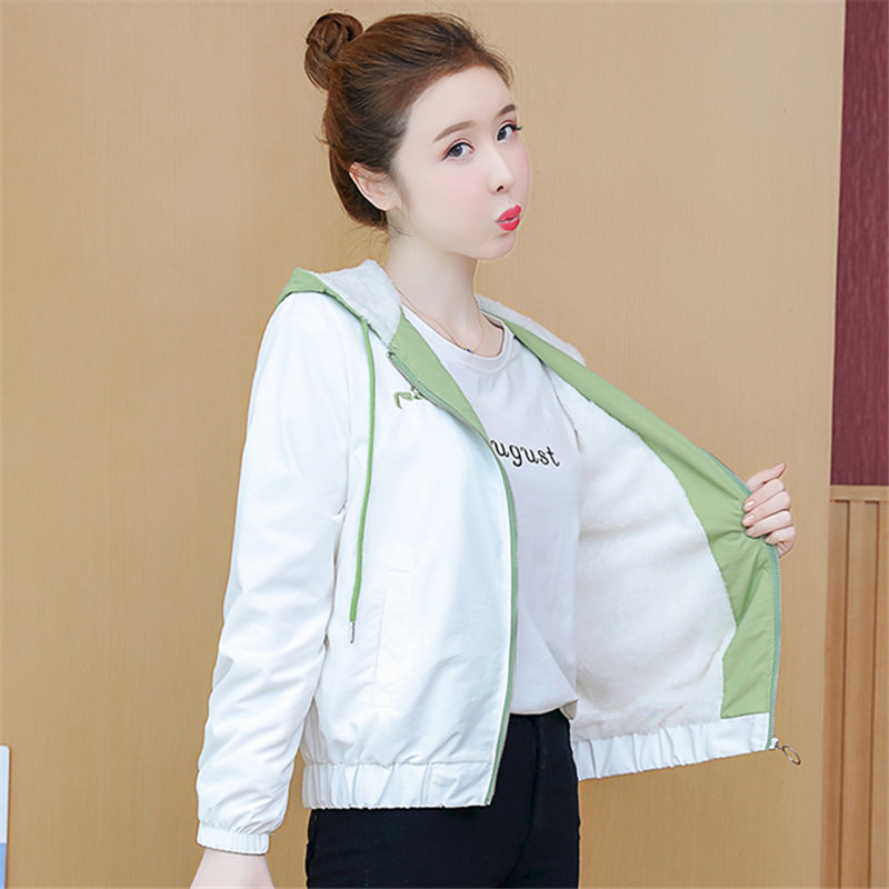 แจ็คเก็ต เสื้อคลุมแจ็คเก็ต
