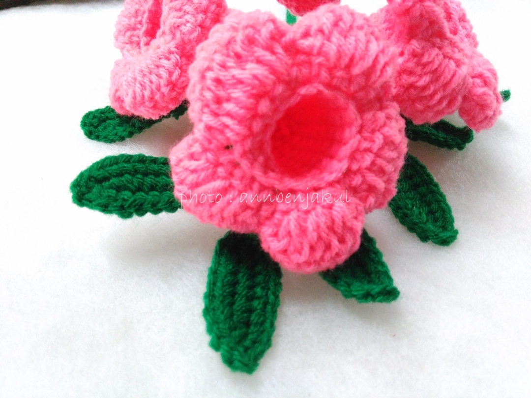 บานบุรีถักสีชมพู