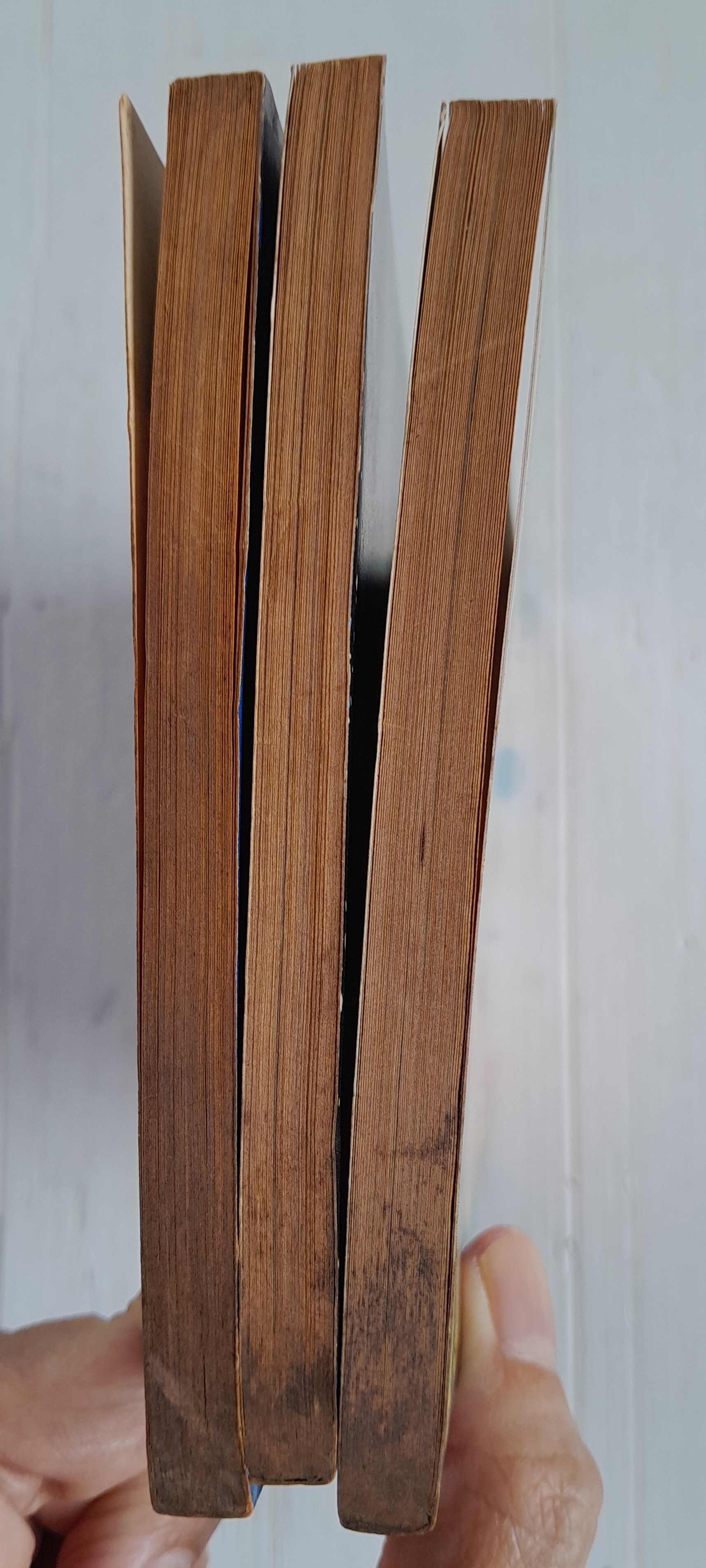 บัญญัติผีนรก 3 เล่มจบ / มัตสึโมโตะ โยโกะ