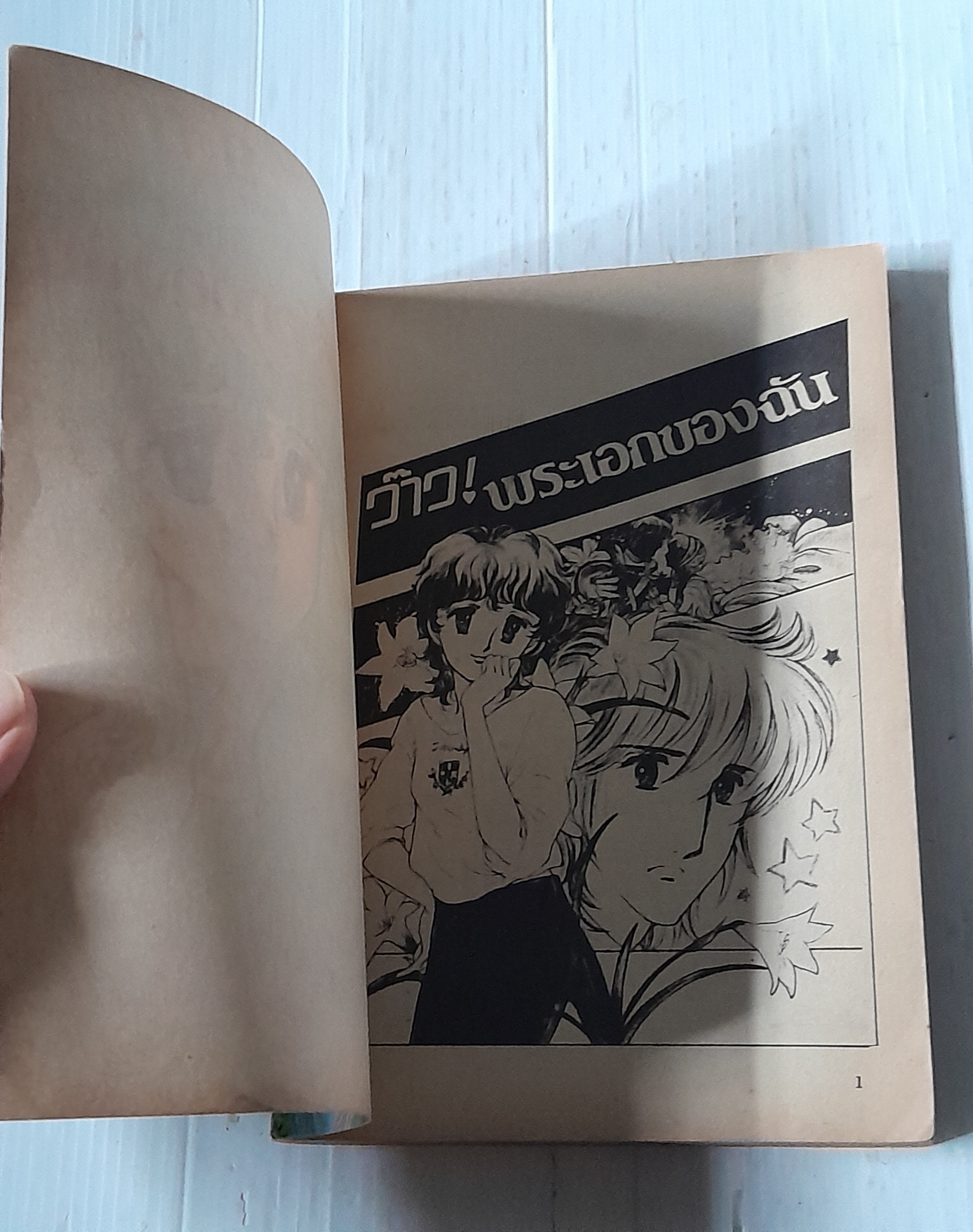 ว้าว! พระเอกของฉัน (เล่มเดียวจบ) / อาซากิริ ยู