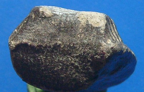 พระคงลำพูน