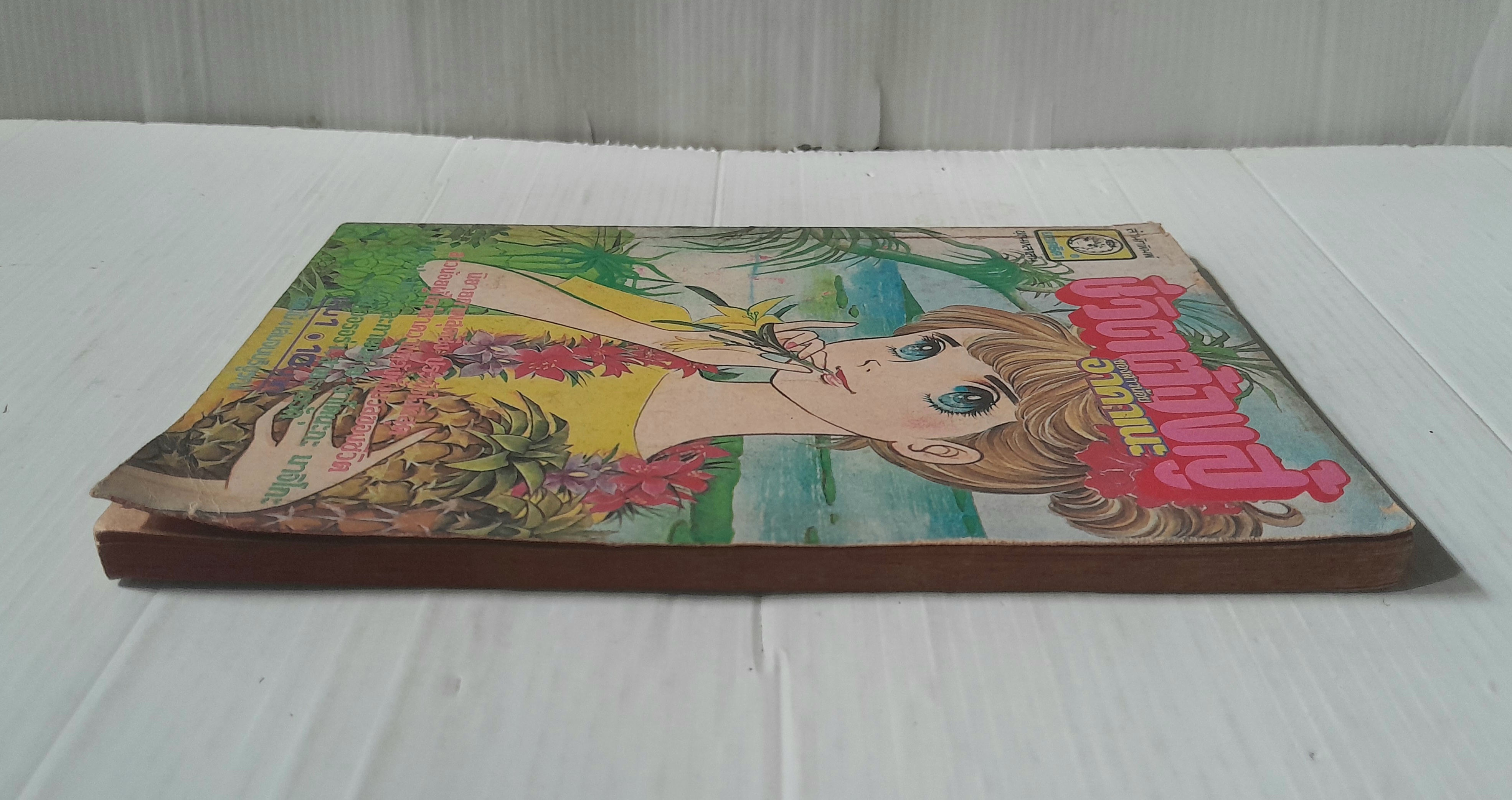 ชีวิตต้องสู้ของสาวน้อยอาคาเนะ เล่ม 1 (4 เล่มจบ) / ซาโตนะกะ มาจิโกะ