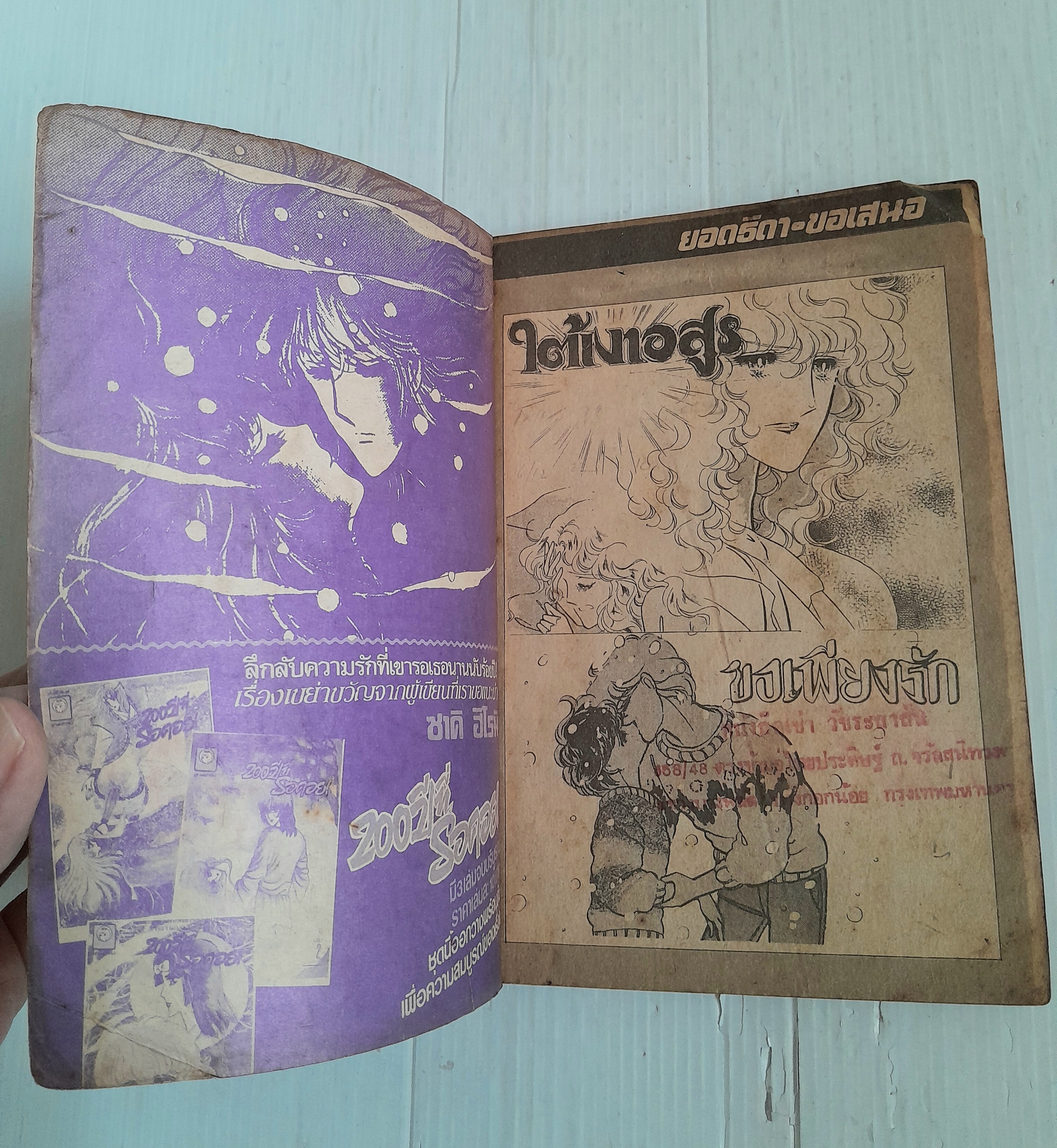 ใต้เงาอสูร (เล่มเดียวจบ)