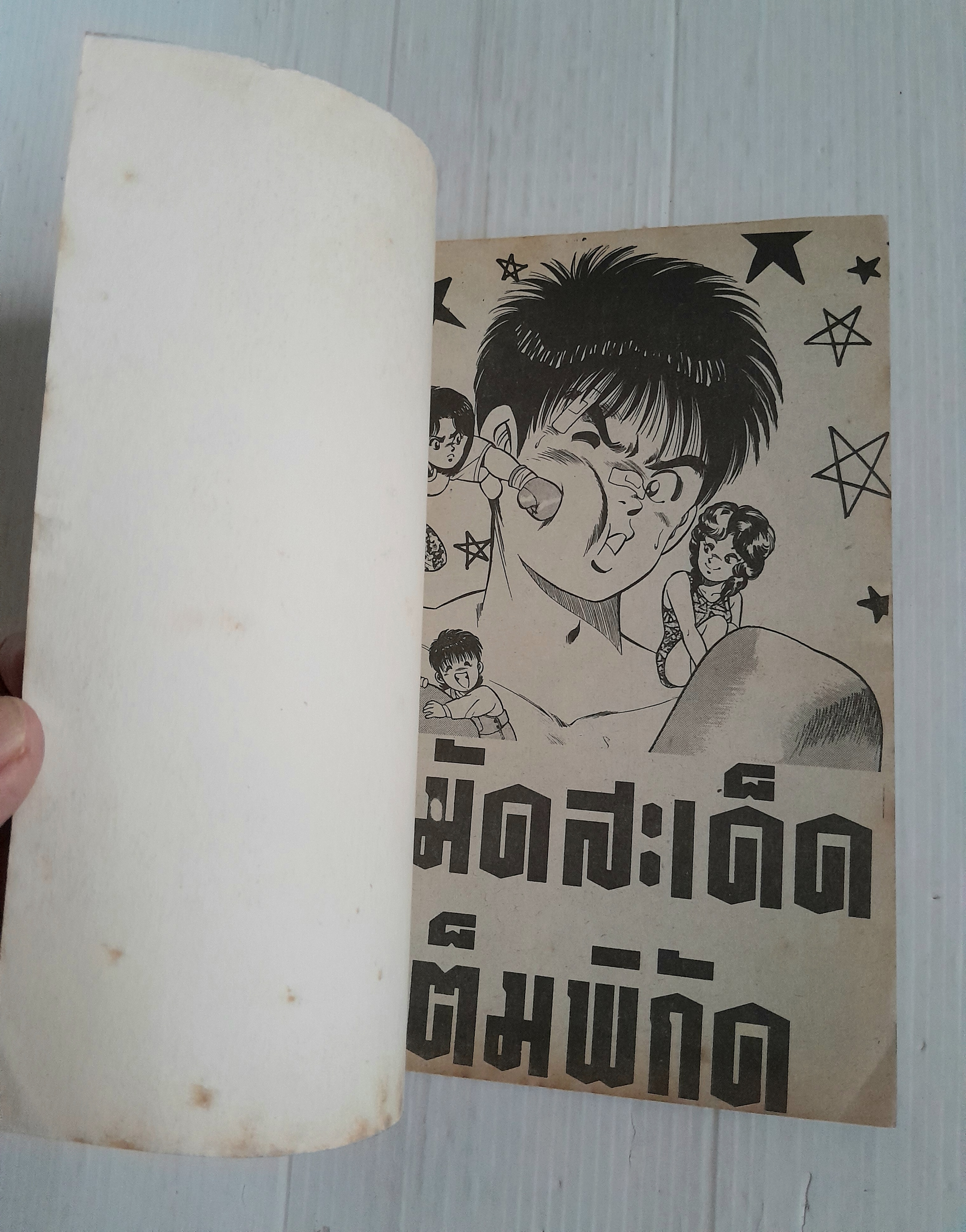 หมัดสะเด็ด เต็มพิกัด (เล่มเดียวจบ)
