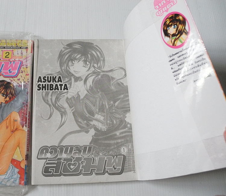 ความลับสีชมพู 2 เล่มจบ / ASUKA SHIBATA