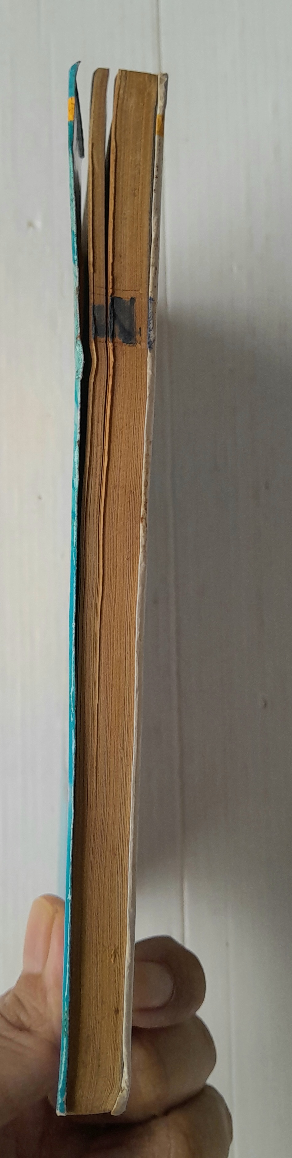 ดวงจันทร์กระซิบรัก (เล่มเดียวจบ) / Fujita kazuko