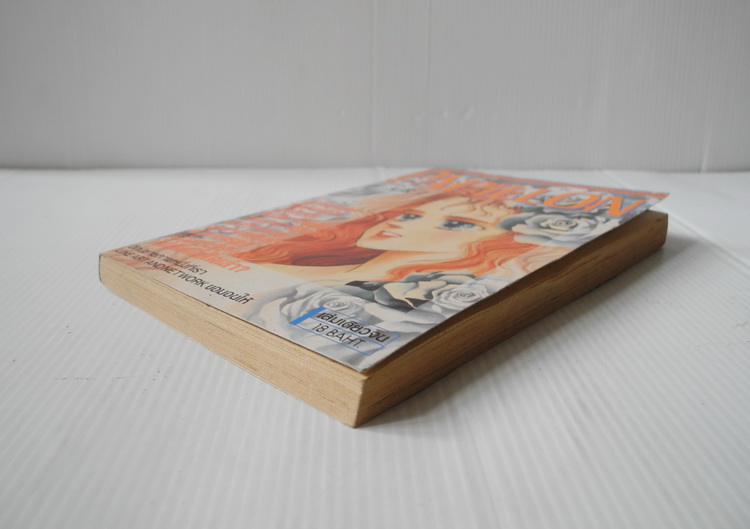 PAPILLON ปาปิญอง / Mari Morioka