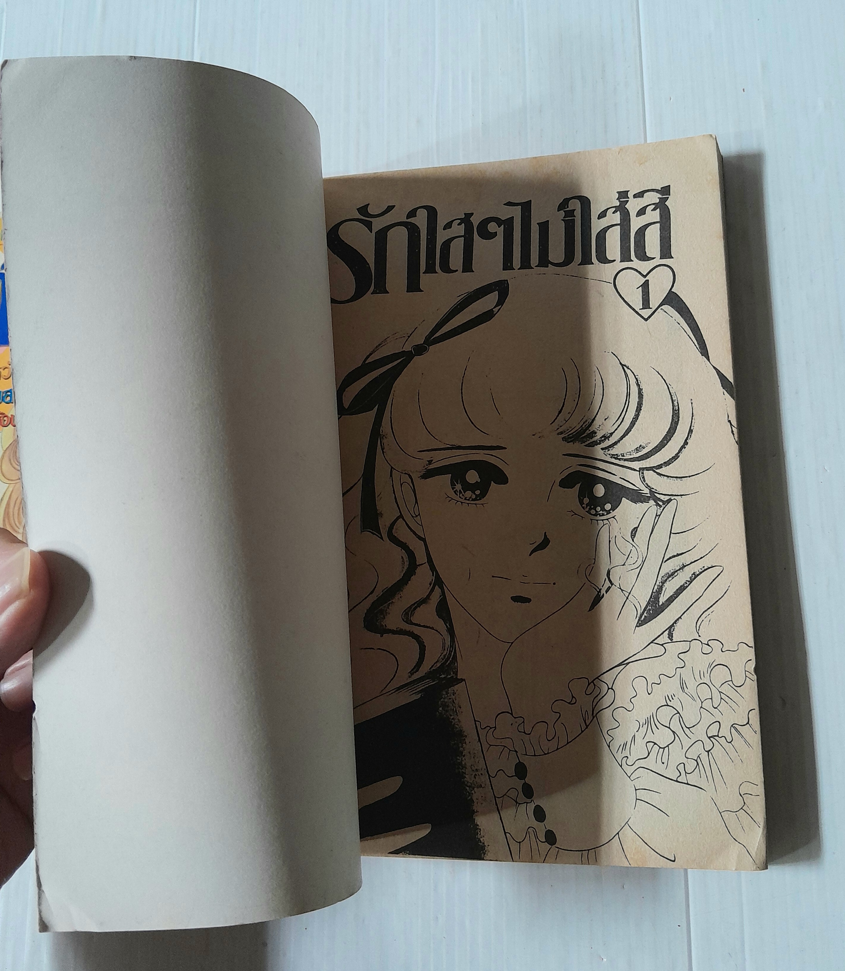 รักใสๆ ไม่ใส่สี 2 เล่มจบ / ชิบาตะ อายูโกะ