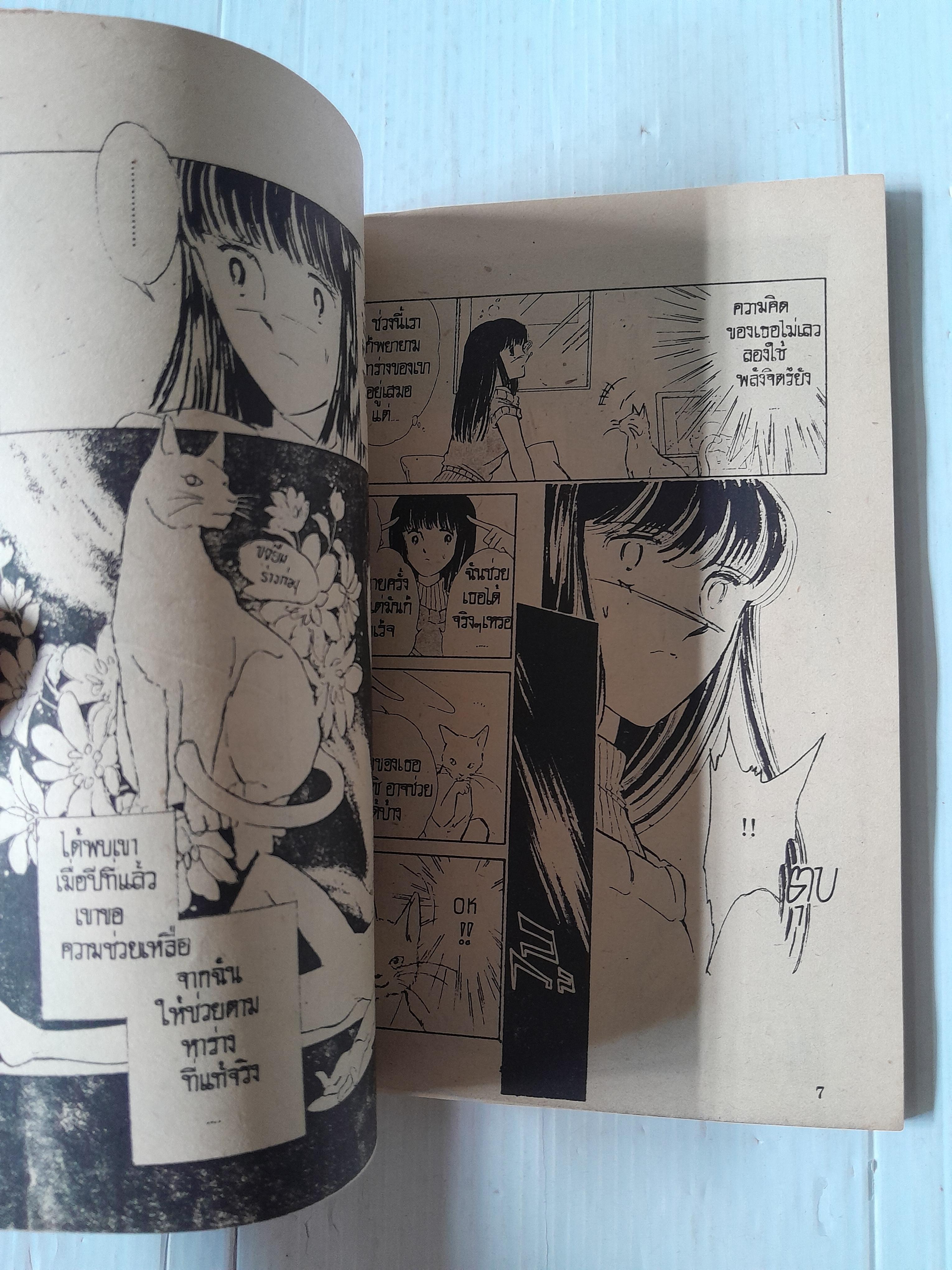 แมวอาถรรพ์ (เล่มเดียวจบ) / Chinohara Chie