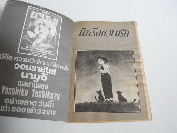 นี่หรือความรัก