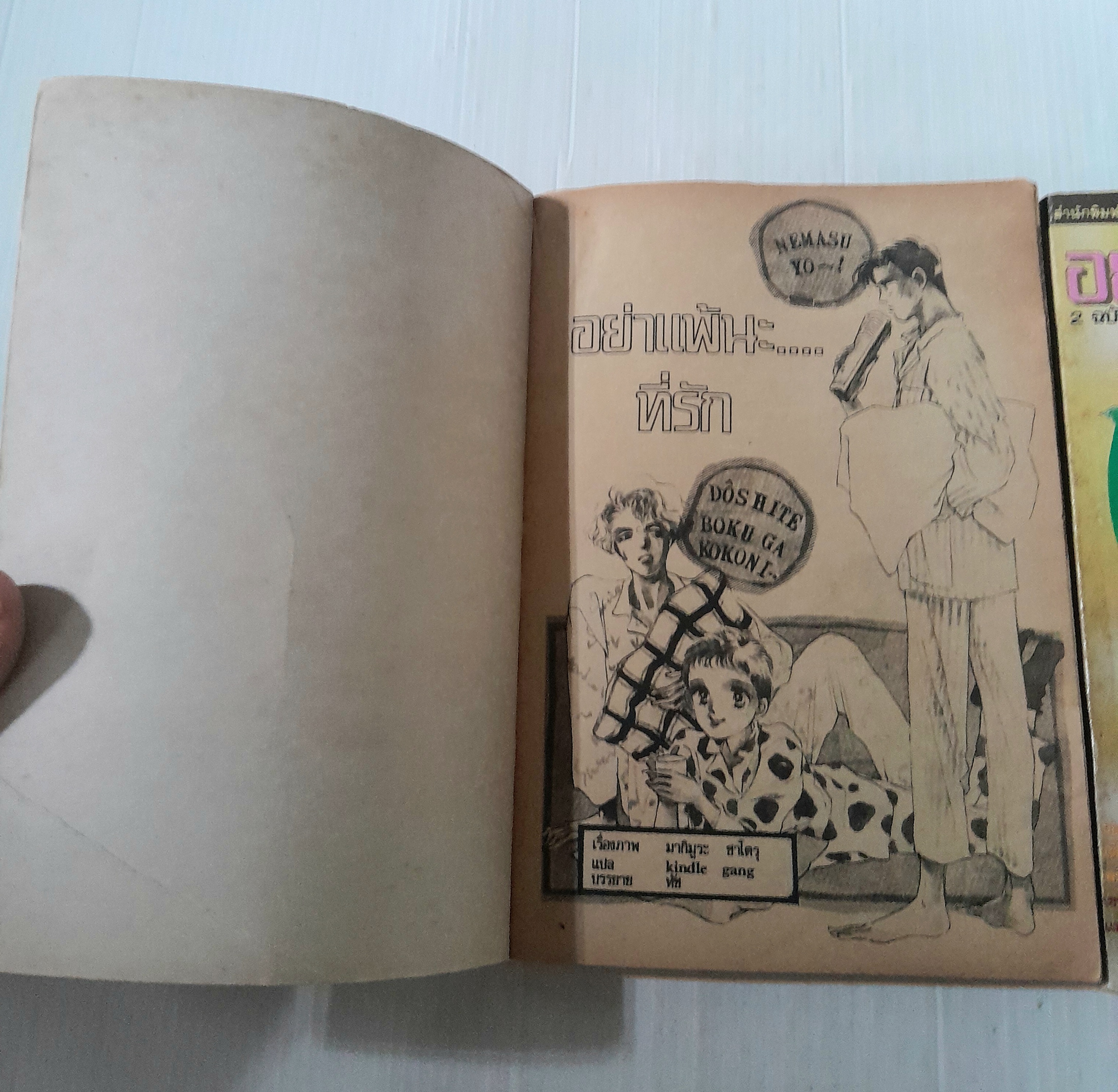 อย่าแพ้นะ..ที่รัก 2 เล่มจบ / นากิมูระ ซาโตรุ