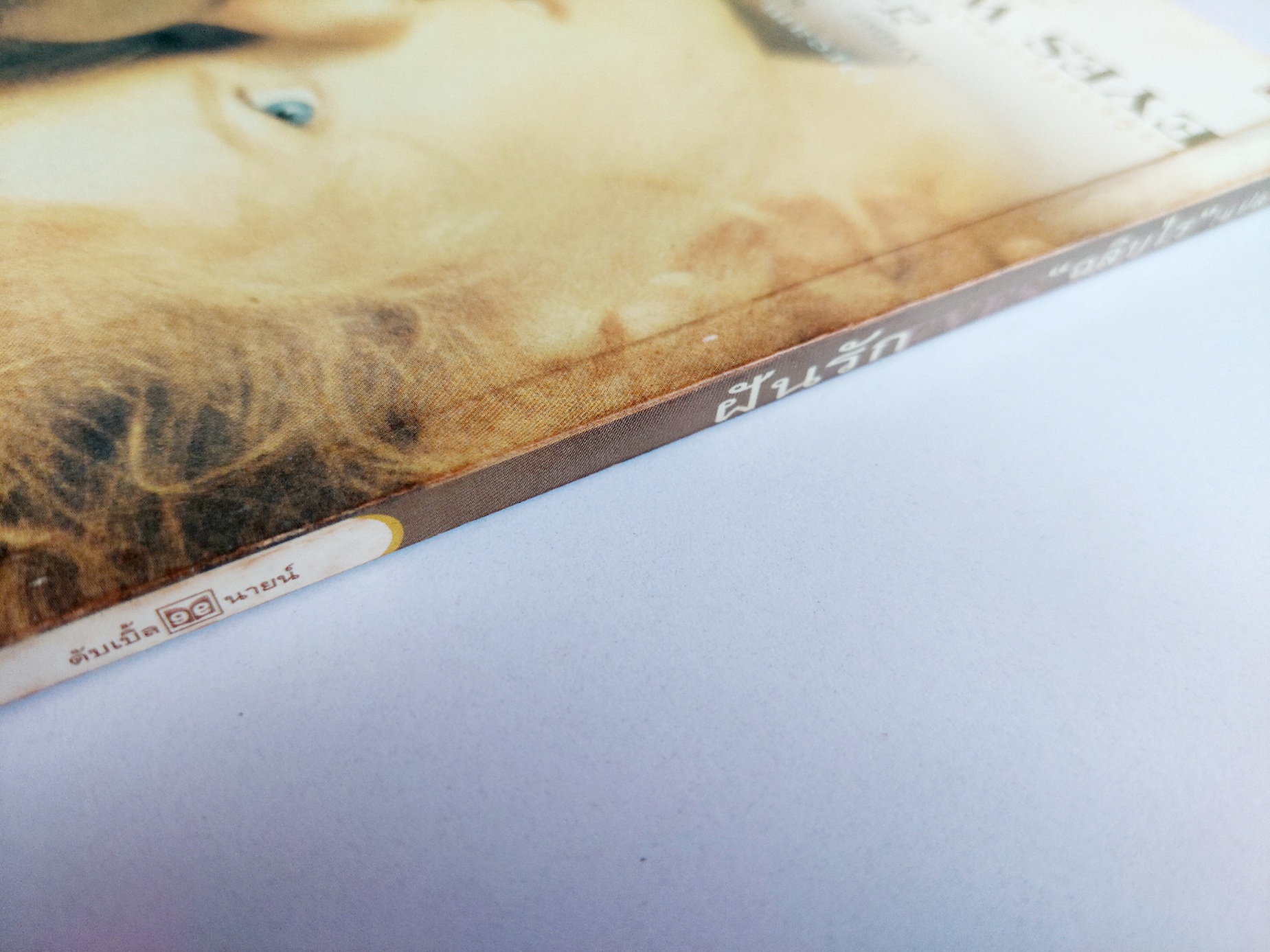 ฝันรัก Eye Wide Shut / Arthur Schnitzler / ฉลิบไร