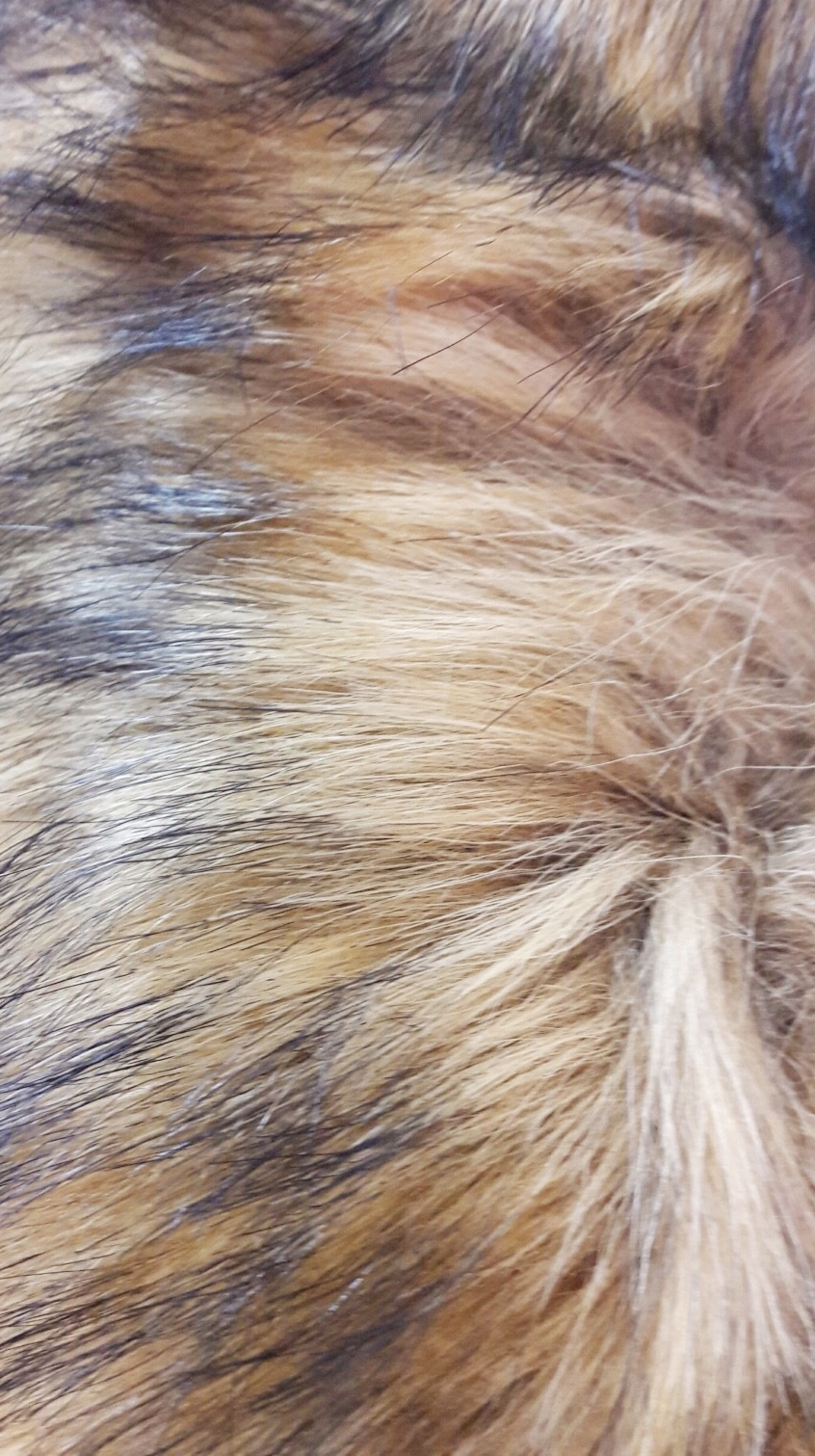 ขนเฟอร์ fur สีน้ำตาลอ่อนแซมดำ ขนฟูนุ่ม ใช้ติดเสื้อหนาว หรือใช้พันคอเพิ่มความเก๋ มิกได้กับทุกชุด มาพร้อมกระดุมใส