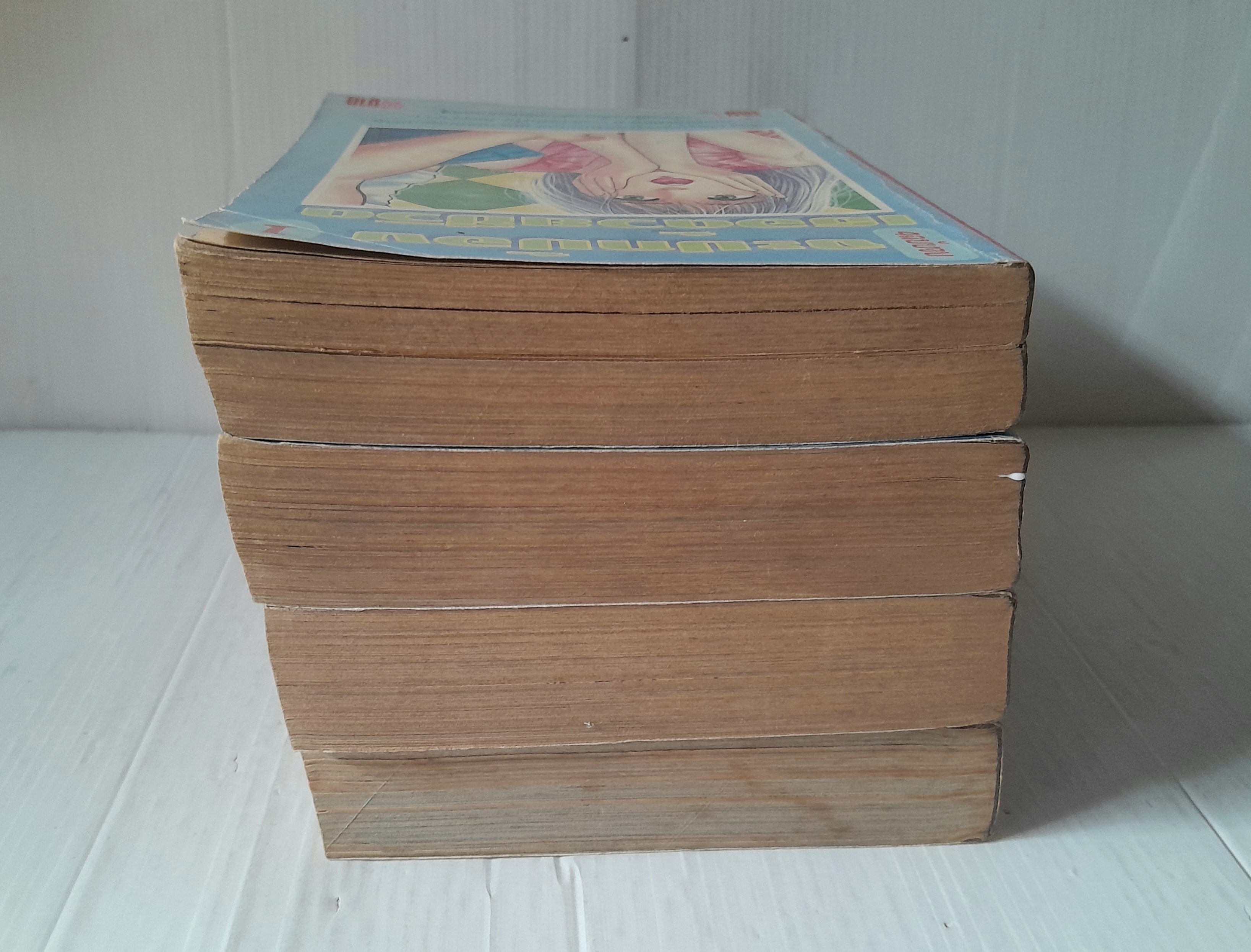 จะปกป้องเธอด้วยชีวิต 4 เล่มจบ