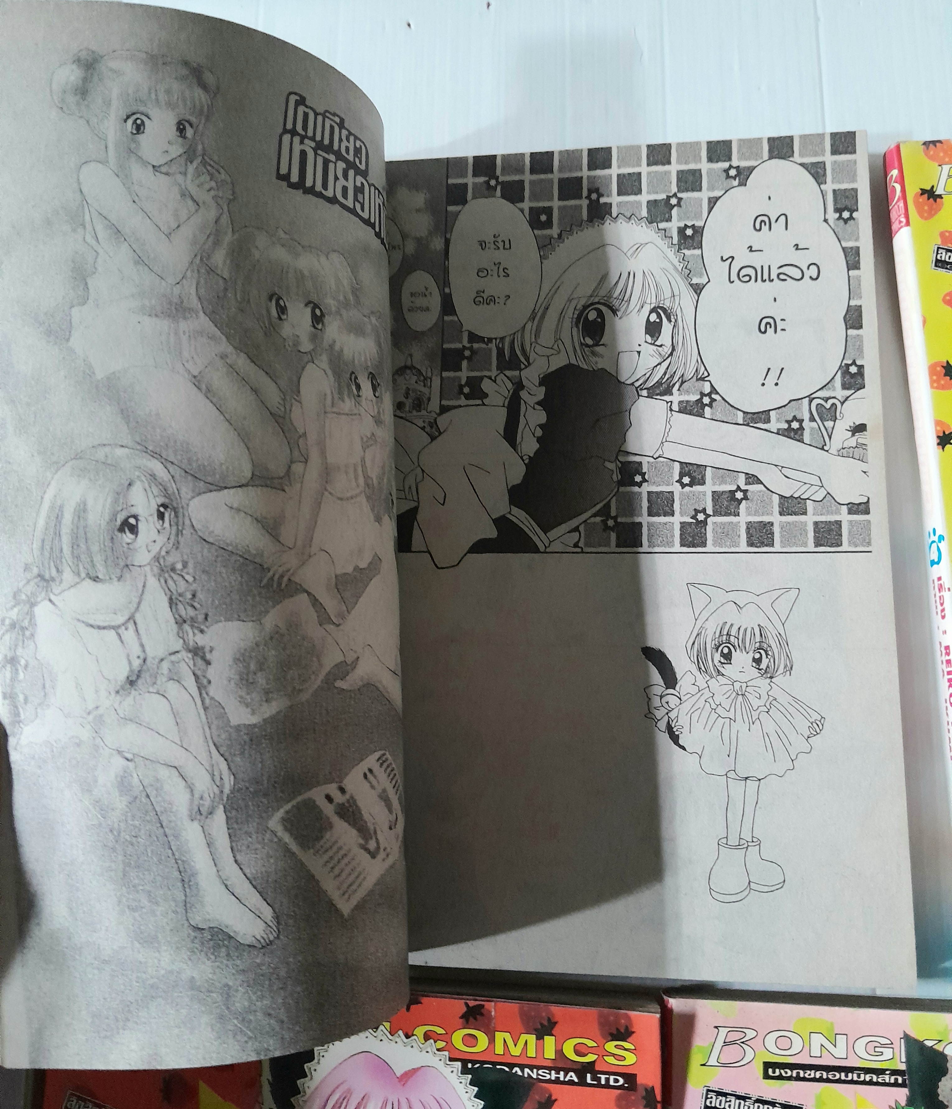 โตเกียวเหมียวเหมียว 7 เล่มจบ