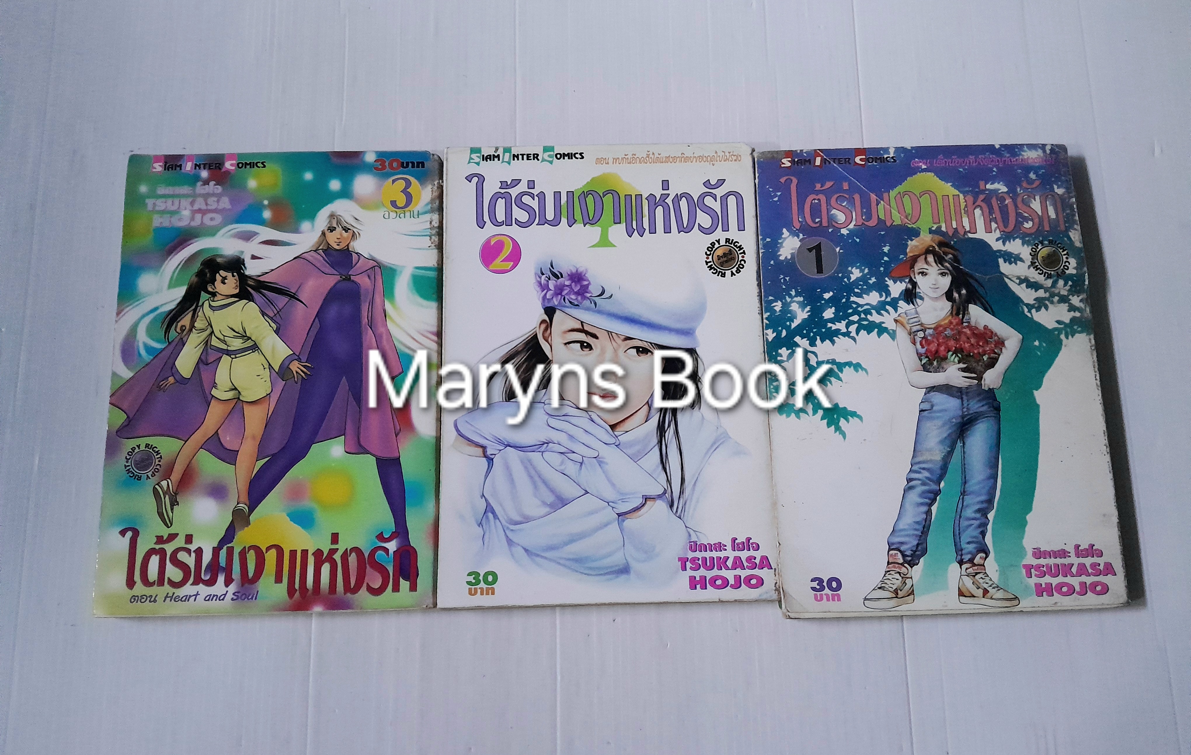 ใต้ร่มเงาแห่งรัก 3 เล่มจบ / Tsukasa Hojo